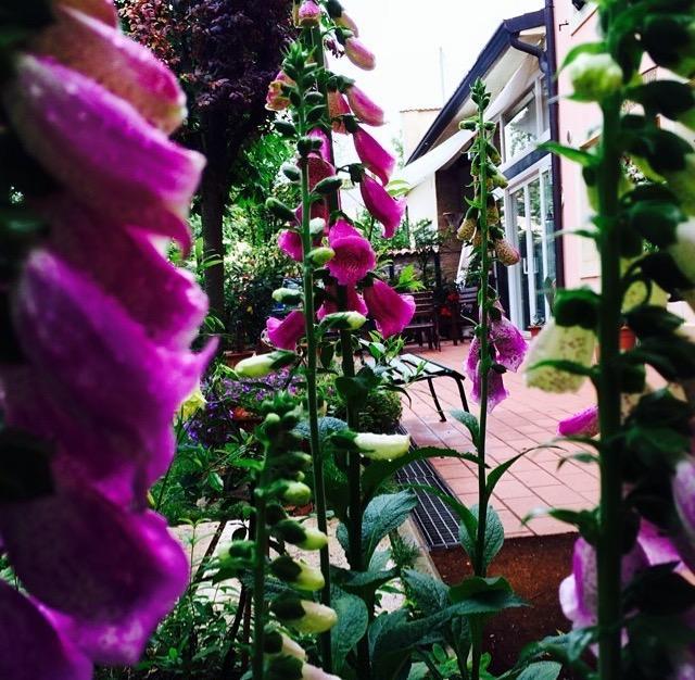 Bed And Breakfast Villa Franca Villafranca di Verona Luaran gambar